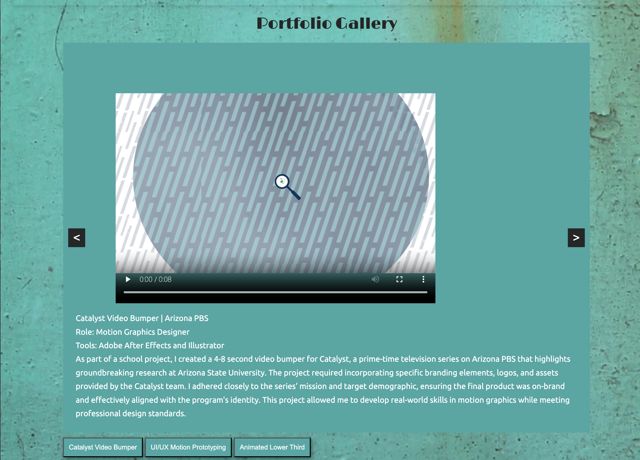 Portfolio gallery